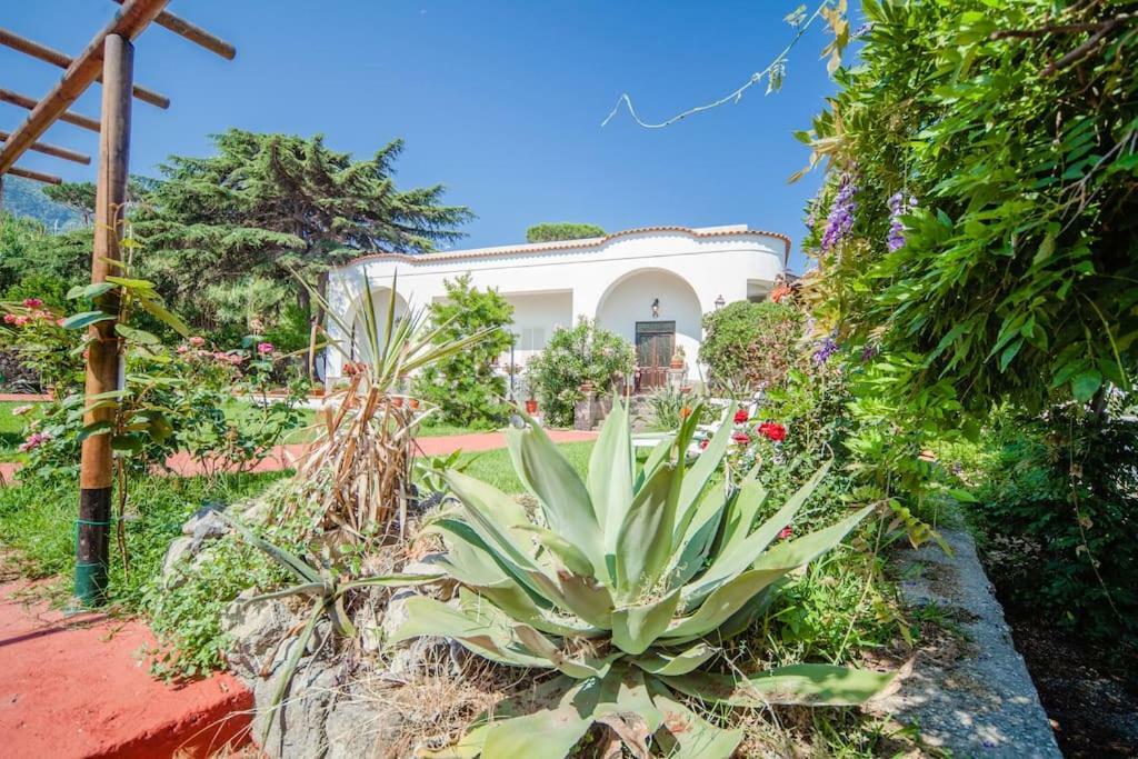 Villa Antica Casamicciola Terme Eksteriør billede